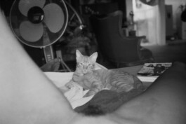 Karen Paulina Biswell