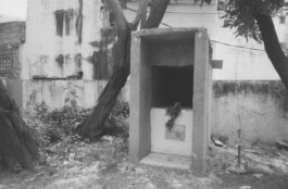 Karen Paulina Biswell