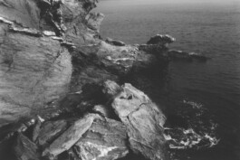 Karen Paulina Biswell