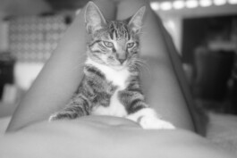 Karen Paulina Biswell