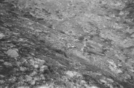 Karen Paulina Biswell