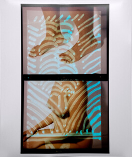 Karen Paulina Biswell