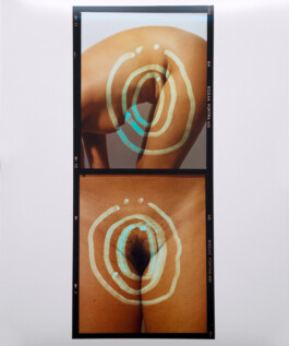 Karen Paulina Biswell