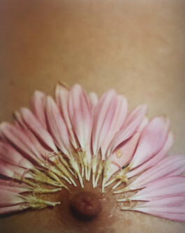 Karen Paulina Biswell