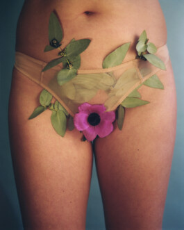 Karen Paulina Biswell