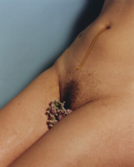 Karen Paulina Biswell