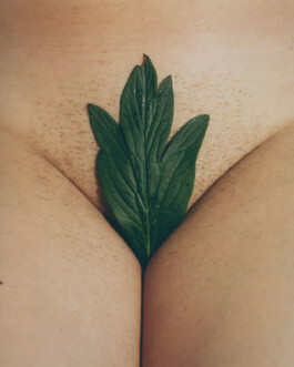 Karen Paulina Biswell