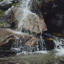 Karen Paulina Biswell