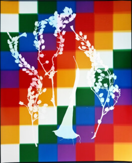 Karen Paulina Biswell