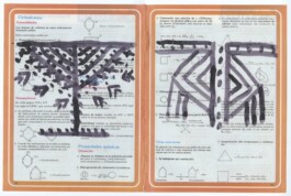 Karen Paulina Biswell