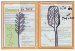 Karen Paulina Biswell