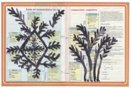 Karen Paulina Biswell