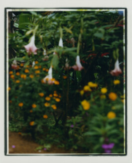 Karen Paulina Biswell