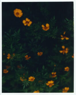 Karen Paulina Biswell