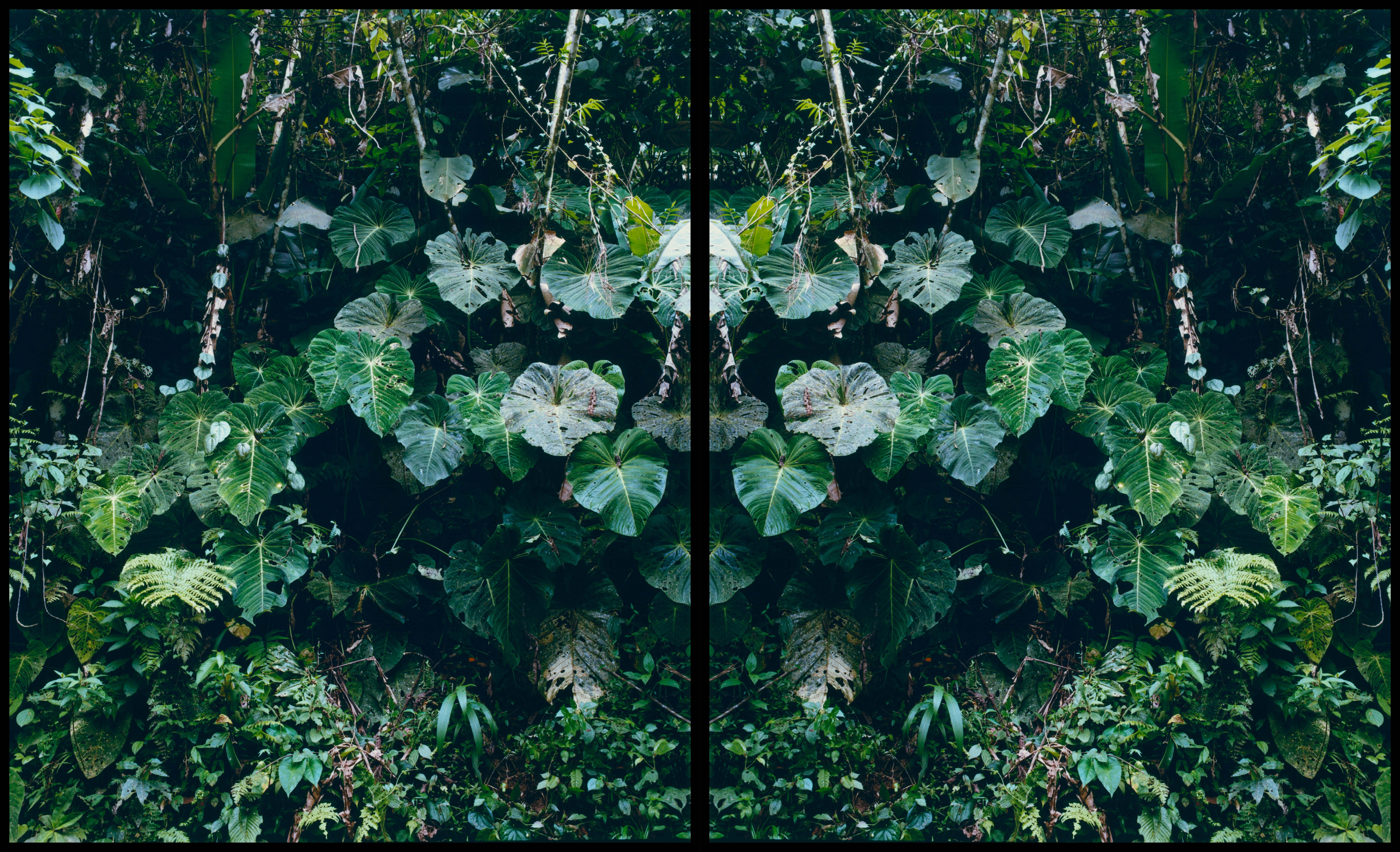 Karen Paulina Biswell