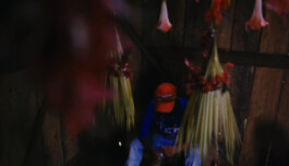 Karen Paulina Biswell