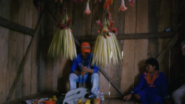 Karen Paulina Biswell