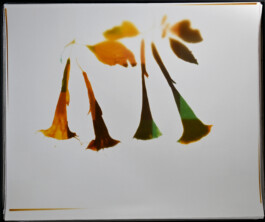 Karen Paulina Biswell