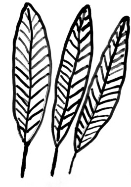 Karen Paulina Biswell