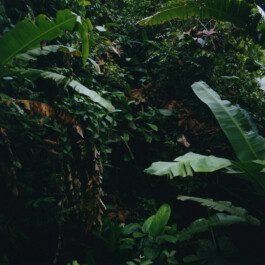 Karen Paulina Biswell