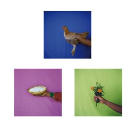 Karen Paulina Biswell