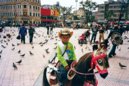 Karen Paulina Biswell