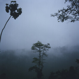 Karen Paulina Biswell