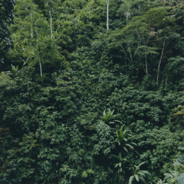 Karen Paulina Biswell