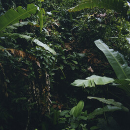 Karen Paulina Biswell