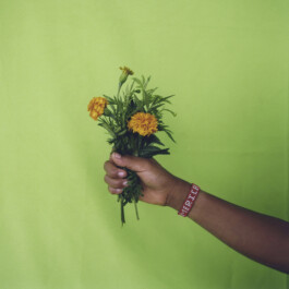 Karen Paulina Biswell