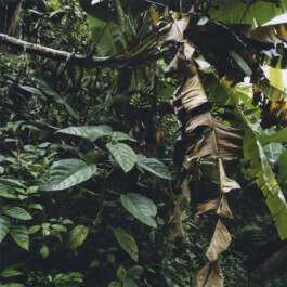 Karen Paulina Biswell