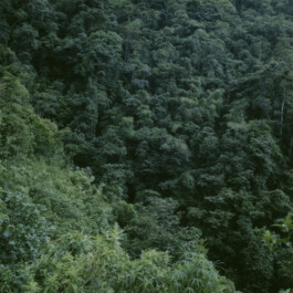 Karen Paulina Biswell