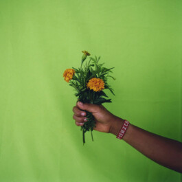 Karen Paulina Biswell