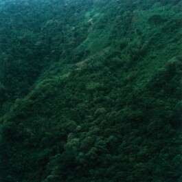 Karen Paulina Biswell