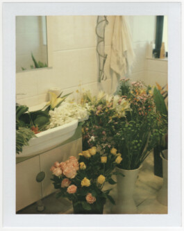 Karen Paulina Biswell