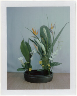 Karen Paulina Biswell