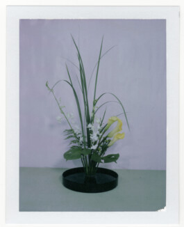 Karen Paulina Biswell