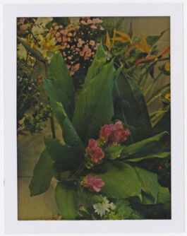 Karen Paulina Biswell