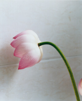 Karen Paulina Biswell