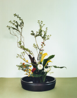 Karen Paulina Biswell