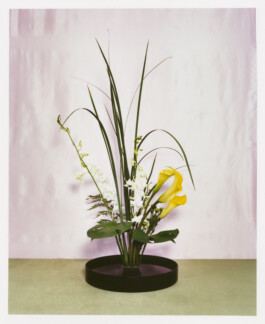 Karen Paulina Biswell