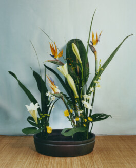 Karen Paulina Biswell