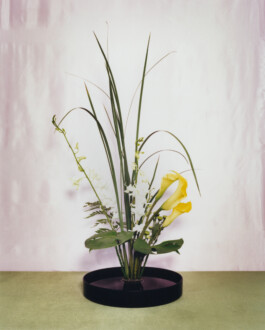 Karen Paulina Biswell