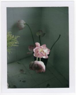 Karen Paulina Biswell