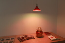 Karen Paulina Biswell