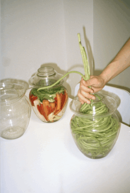 Karen Paulina Biswell