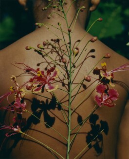 Karen Paulina Biswell