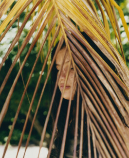 Karen Paulina Biswell