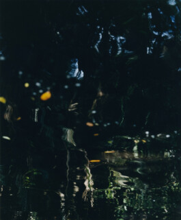 Karen Paulina Biswell