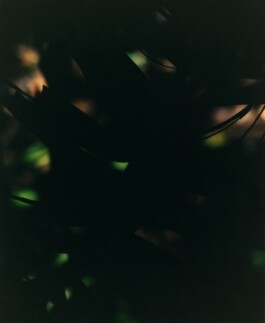 Karen Paulina Biswell